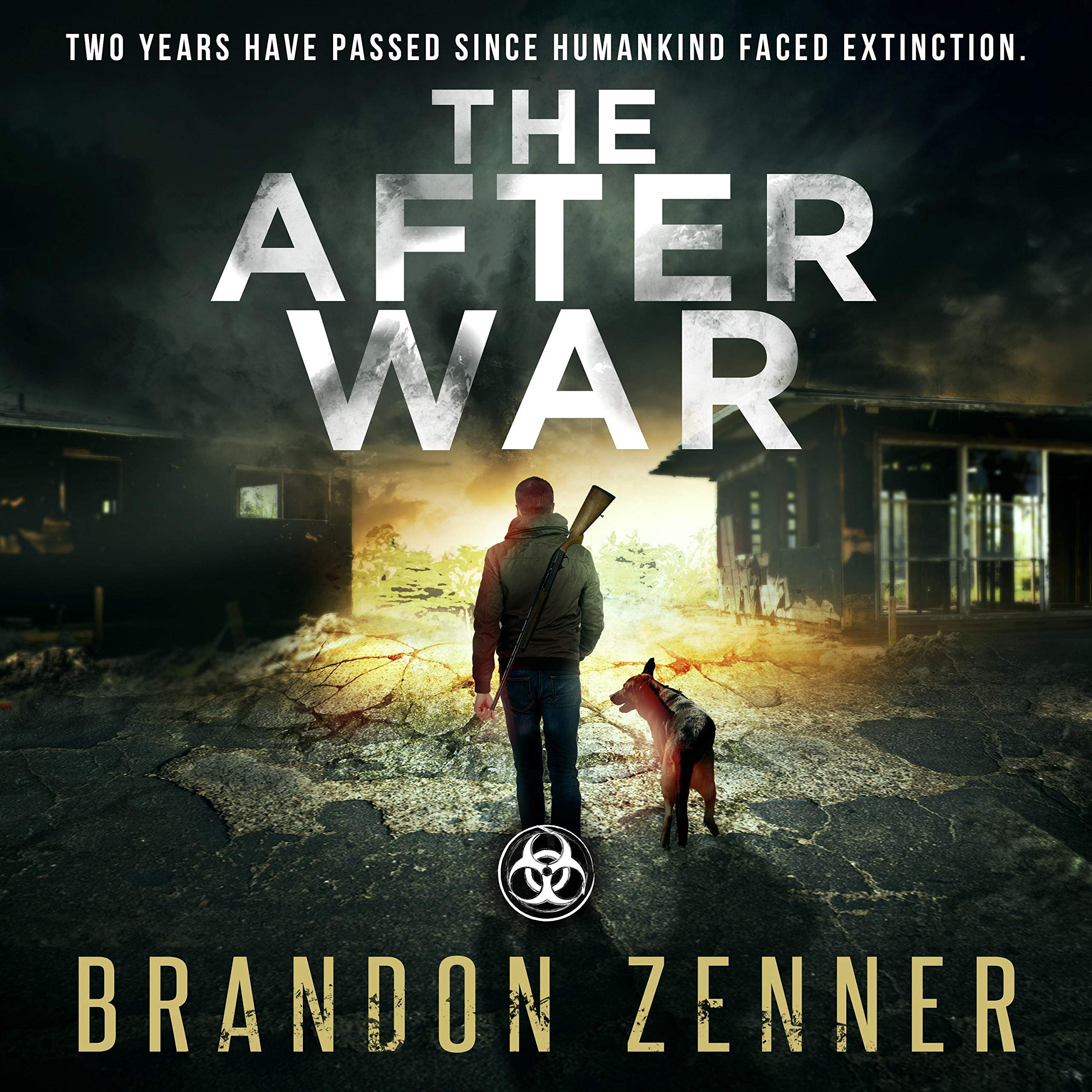 Cover art for The After War