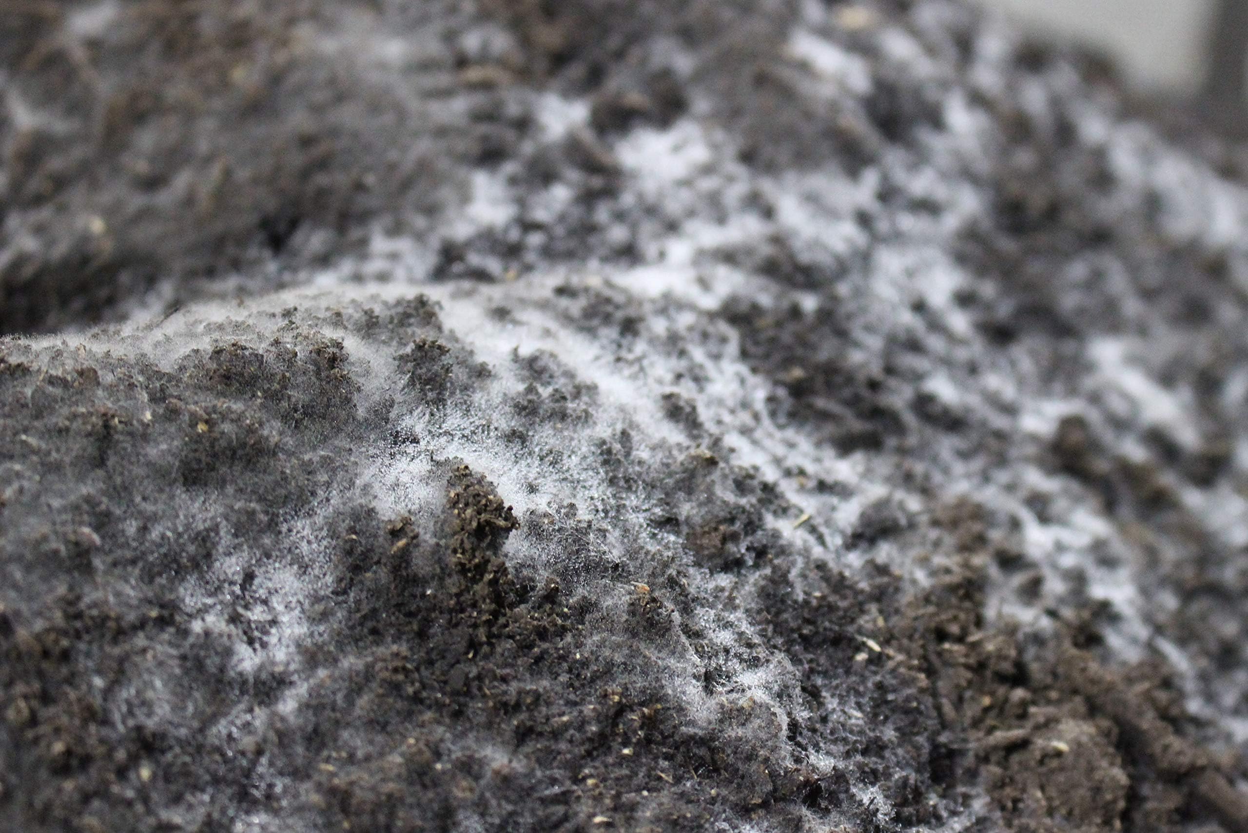 Compost Tea Recipe...The Secret to Success, Ready to Brew: LiFeCuBe Compost Tea: 8lbs (Approx. 32 Cups)