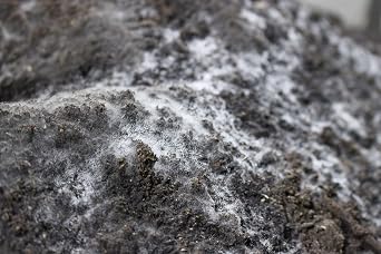 Compost Tea Recipe...The Secret to Success, Ready to Brew LiFeCuBe Compost Tea 8lbs Approx. 32 Cups