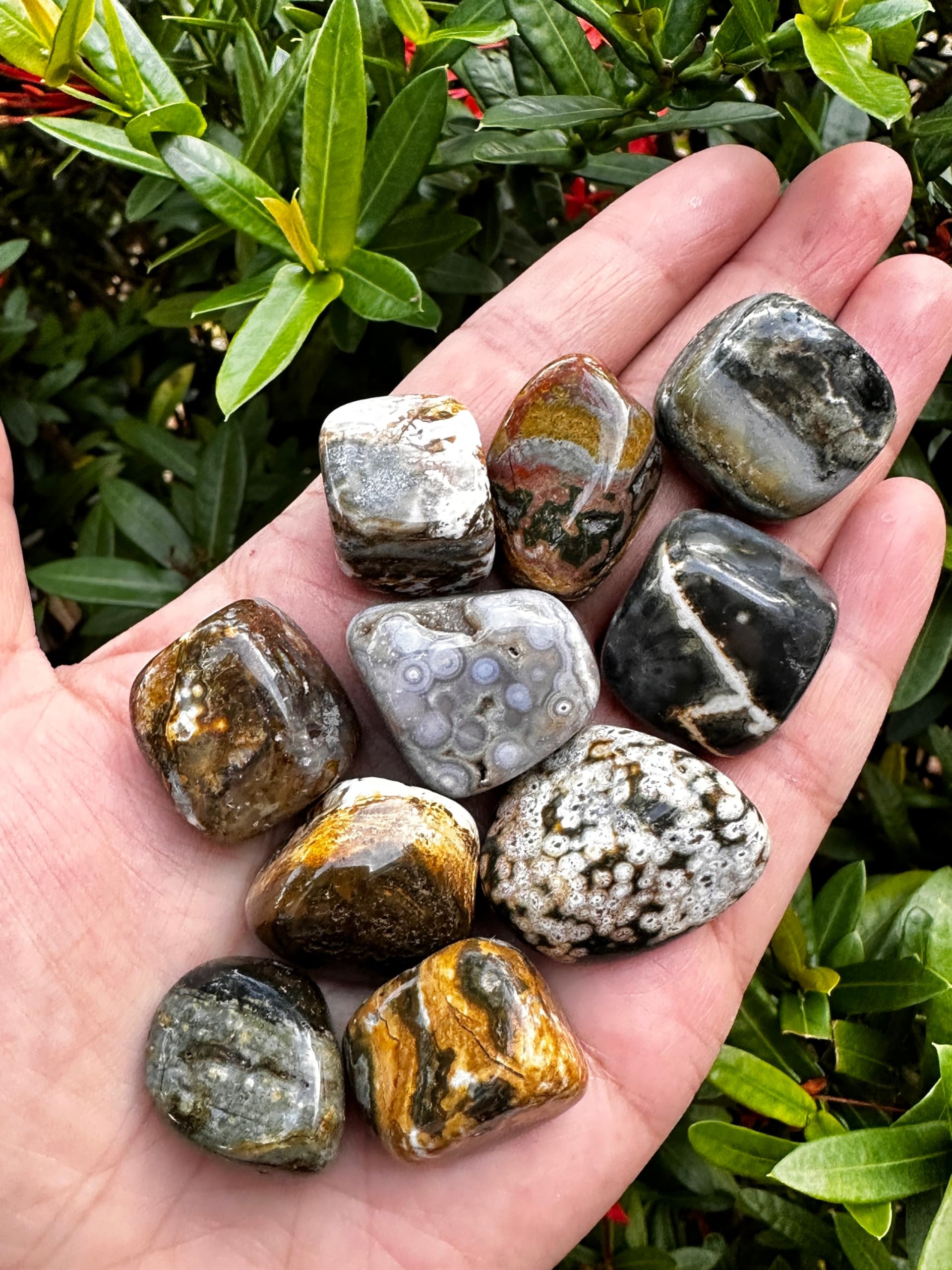 Amazon.com: GAF TREASURES Wholesale Ocean Jasper Tumbled Stones