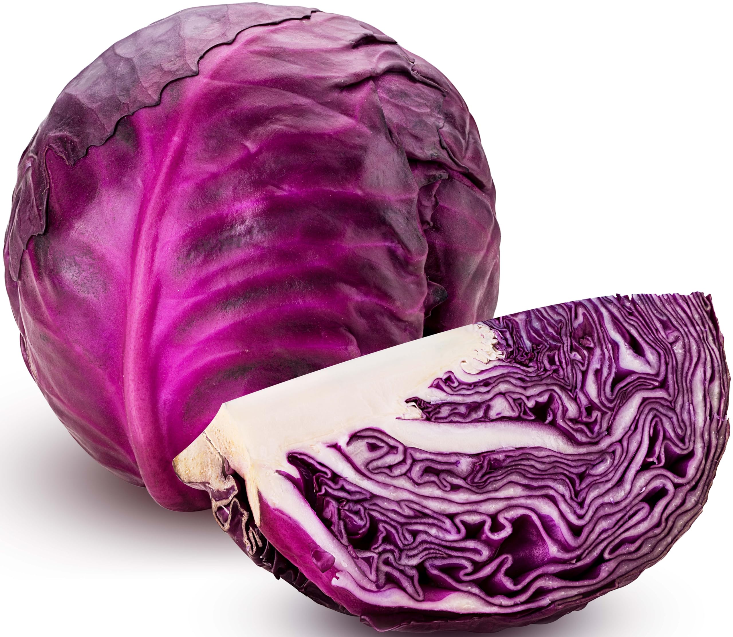 250 Red Acre Cabbage Seeds for Planting - Heirloom Non-GMO USA Grown Vegetable Seeds by RDR Seeds