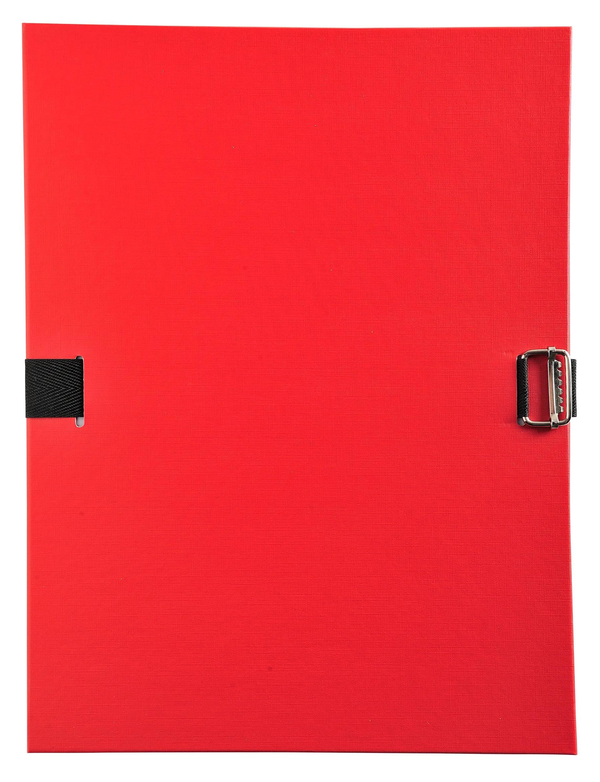 Exacompta - Réf. 30100H - Carton de 10 chemises à dos extensible en polypropylène couleur - 1 rabat en pied - fermeture par sangle - boucle à coulisseau cranté - dim 24 x 32 cm - couleurs assorties