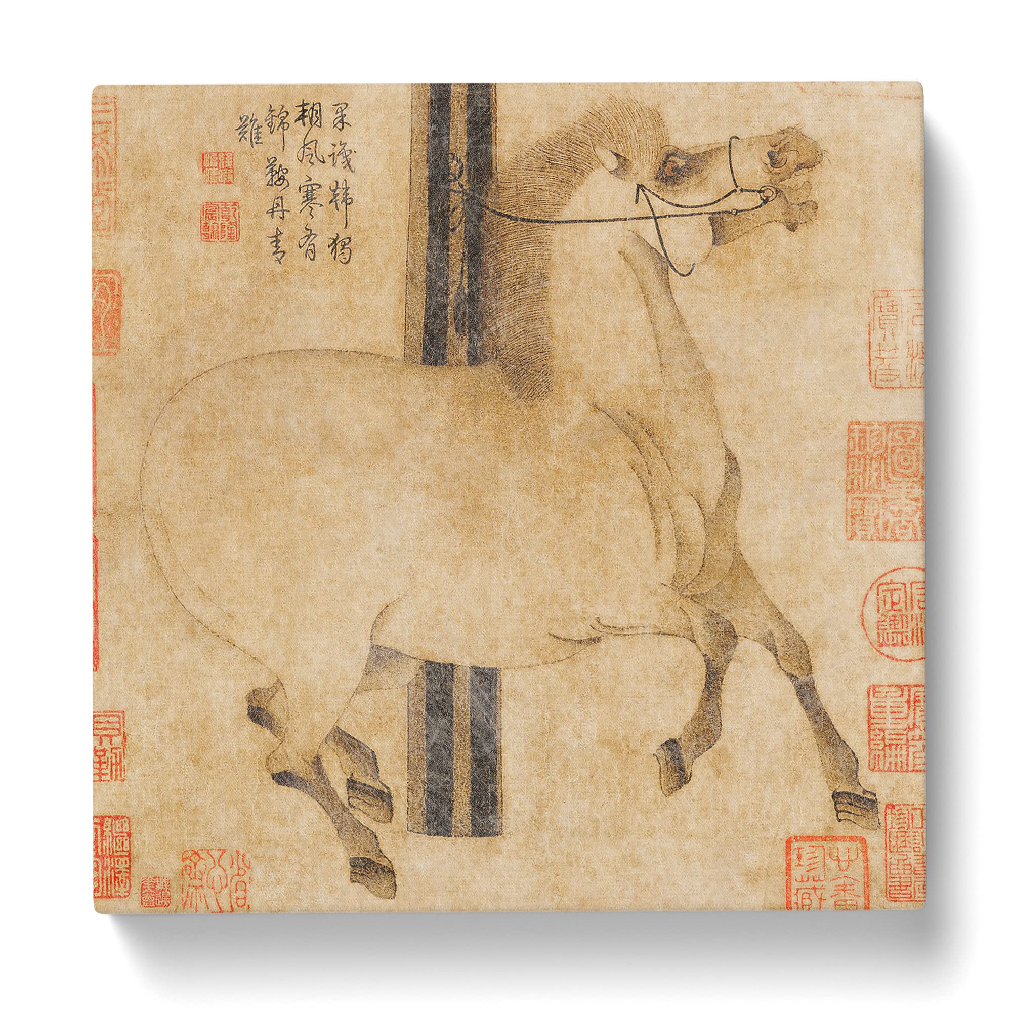 Horse by Bian Lu Canvas Print, Mixed, 35L x 35W cm - Image 3