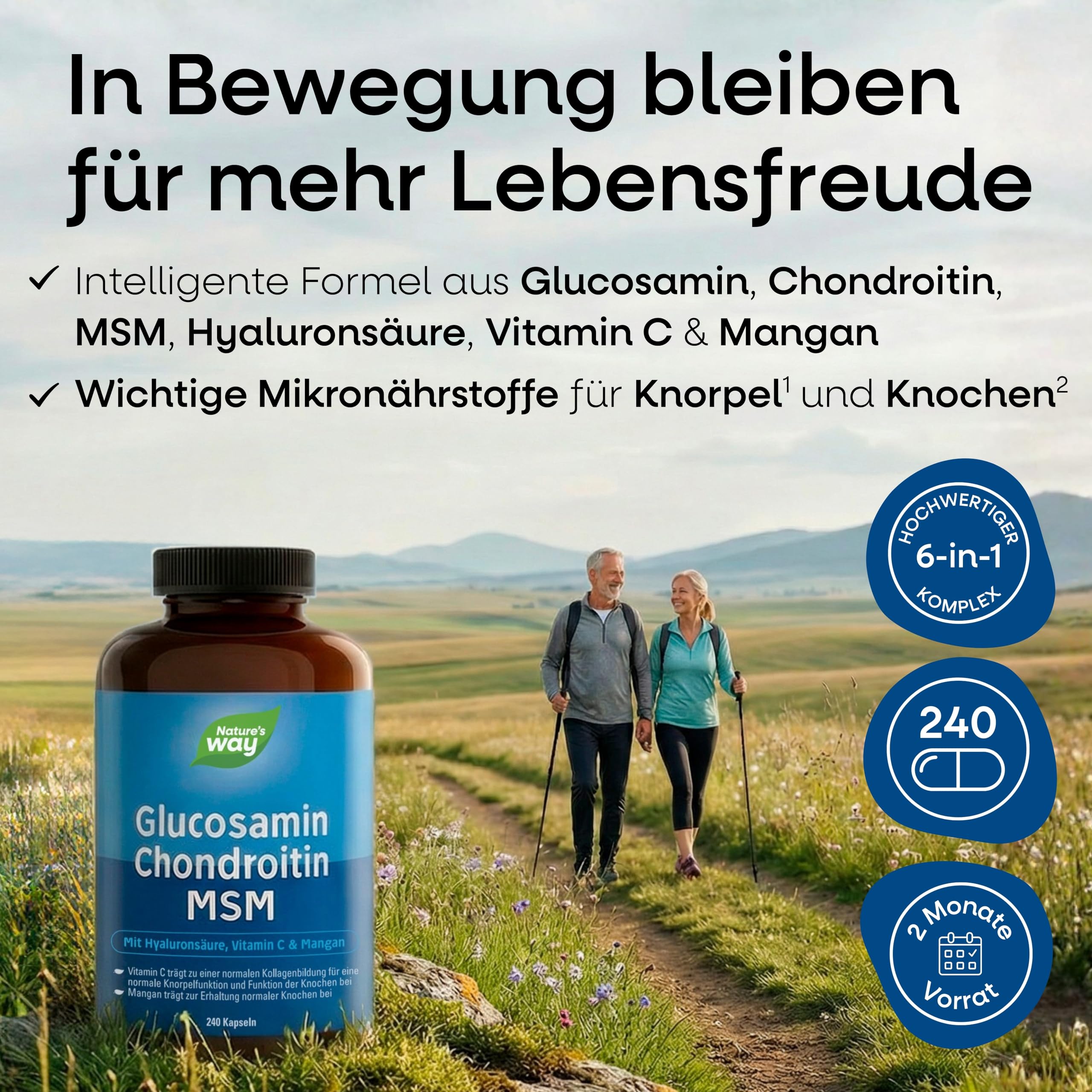 Glucosamin Chondroitin hochdosiert MSM Kapseln | 240 Stück | mit Vitamin C, Hyaluronsäure & Mangan | hochdosiert für Knorpel Knochen Kollagenbildung | laborgeprüft in Deutschland | 2 Monate Vorrat