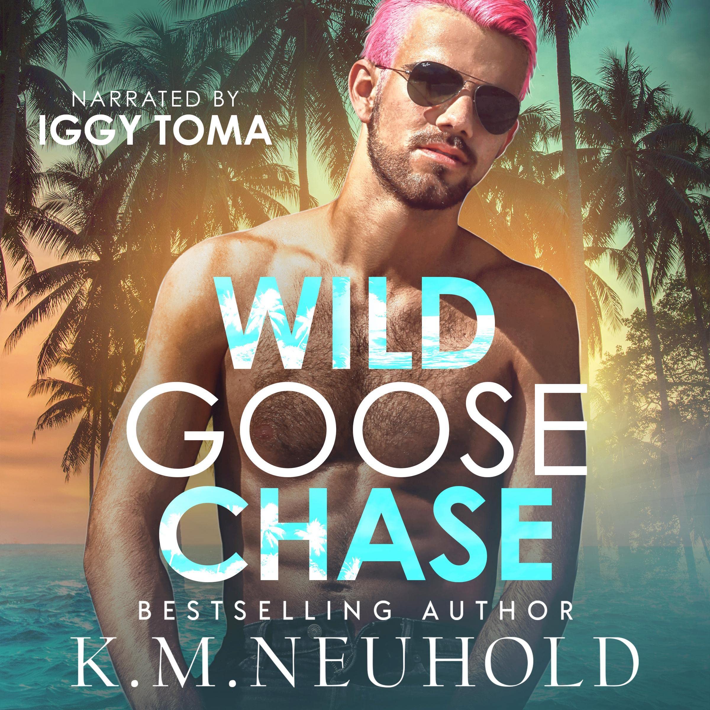 Cover art for Wild Goose Chase