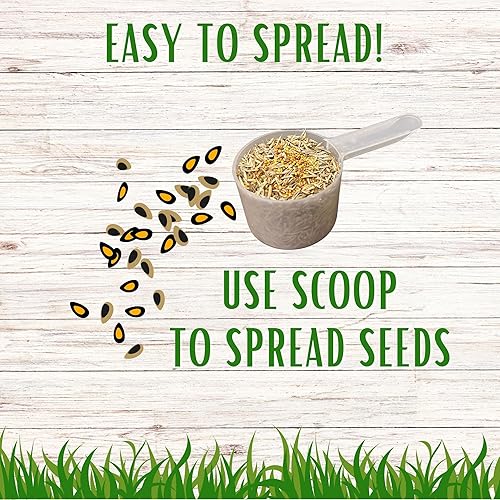 Miniatura 3 de Flawn Seed - Semilla de césped con trébol blanco holandés - 7500 pies cuadrados - Para niños mascotas polinizadores y alternativa de hierba