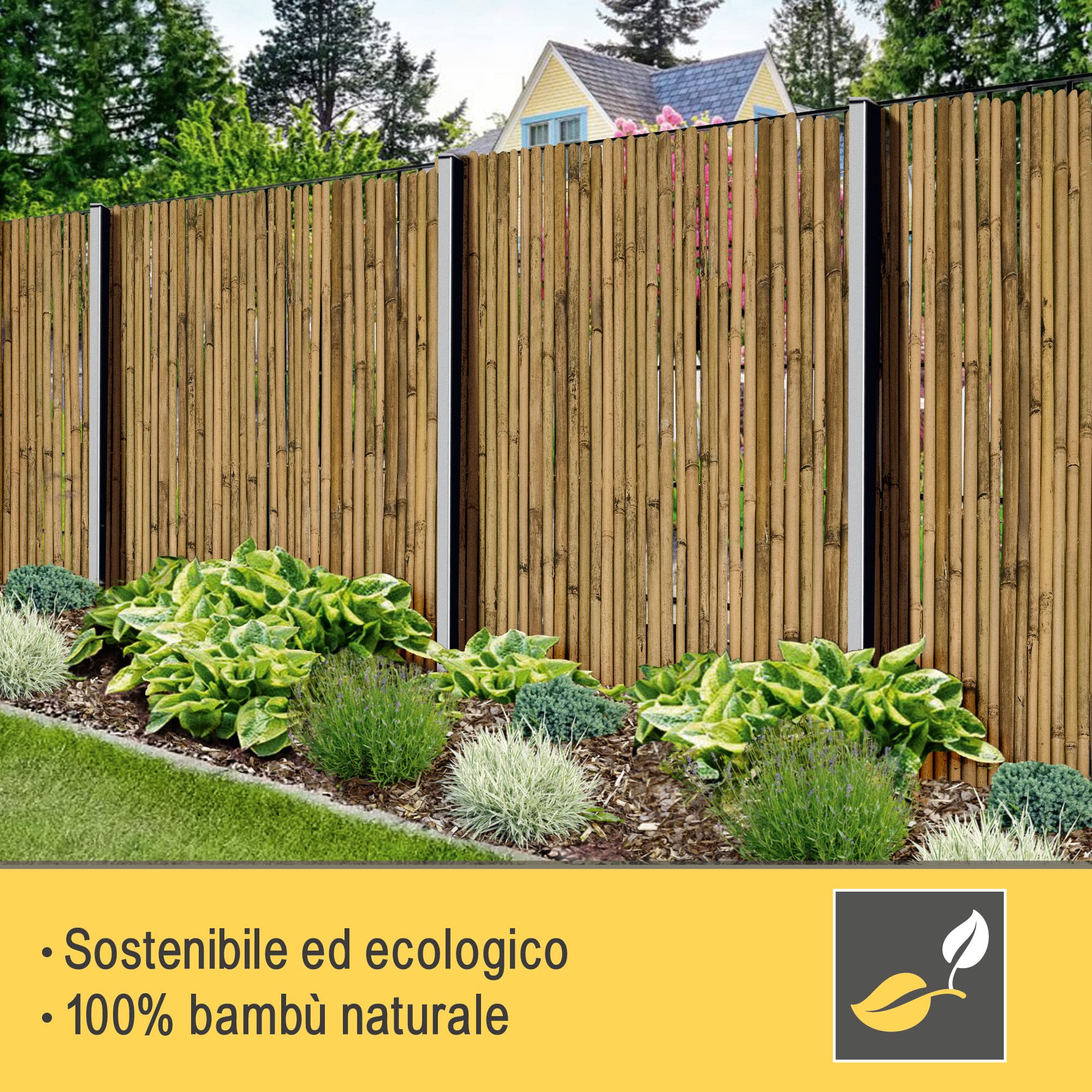 Sol Royal Frangivista e Frangivento in Bambú 180x250cm (AxL) SolVision B38 Stuoia in Canne Spesse di Bamboo Premium - Arella Naturale per Giardini e Balconi - Schermo Privacy Naturale