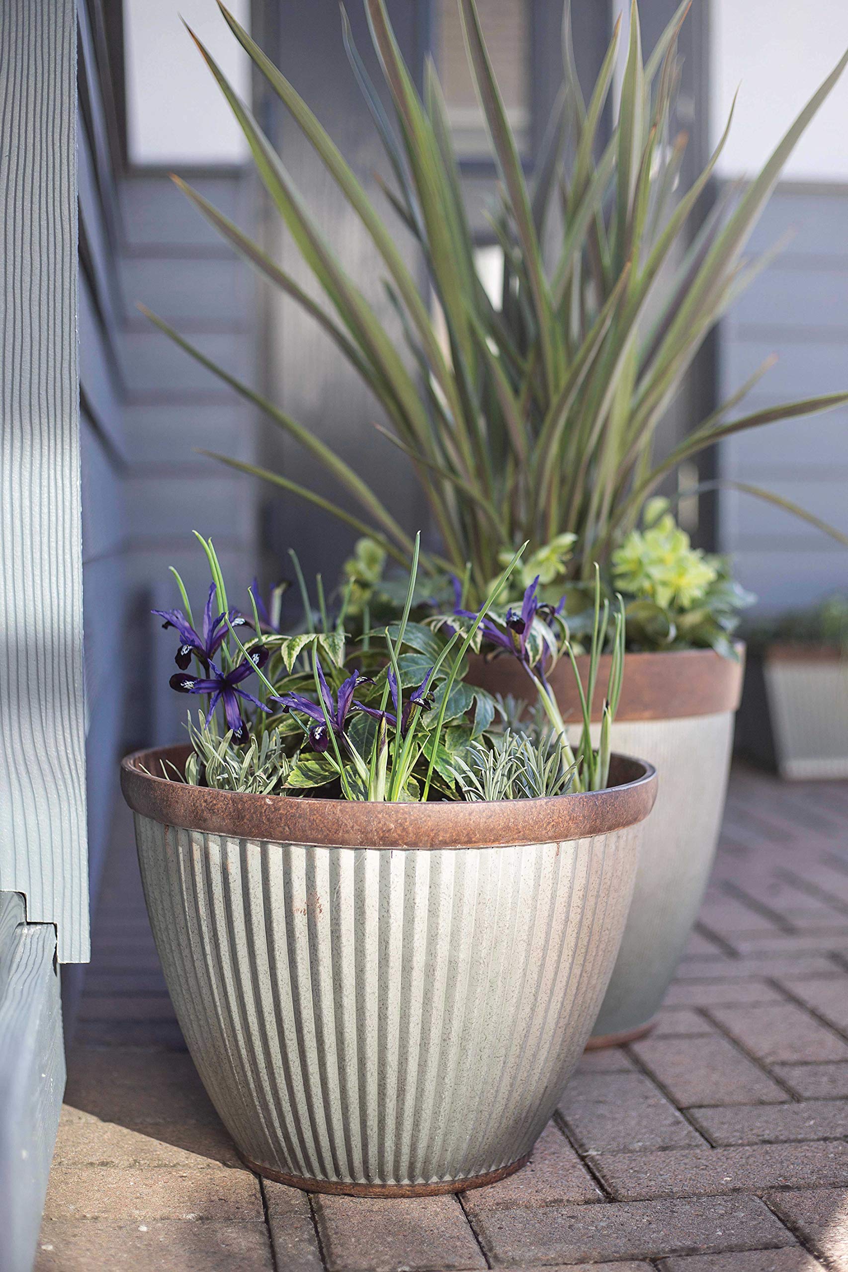 Amazon.co.jp: Plant Avenue プラスチック植木鉢、シルバー、38cm