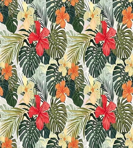 Miniatura 8 de Ambesonne Juego de funda de edredón de brújula, ilustración de mapa del mundo, marinero marítimo, equipo de vida monocromático, juego de ropa de