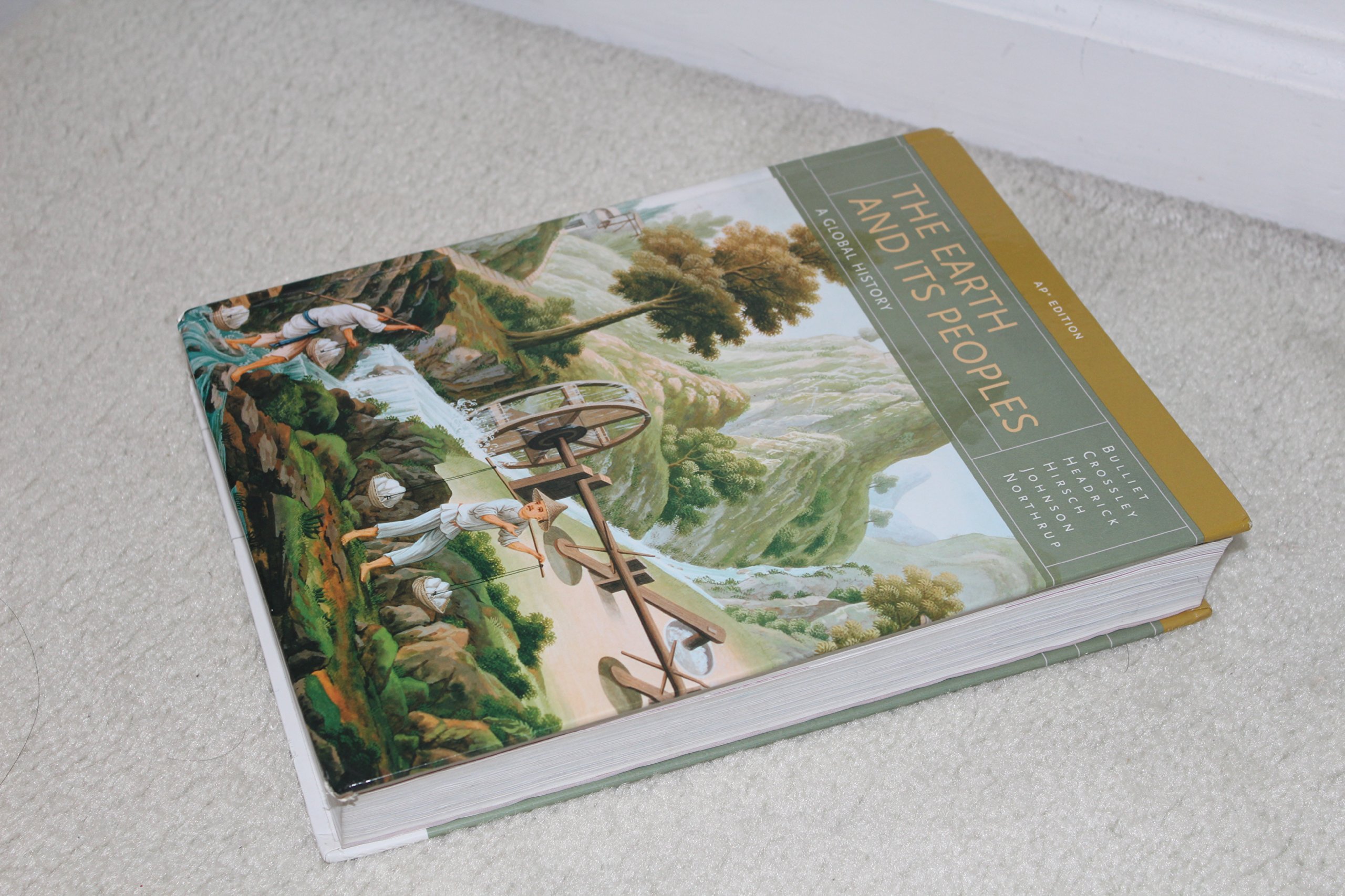 Earth & Its Peoples, AP Edition