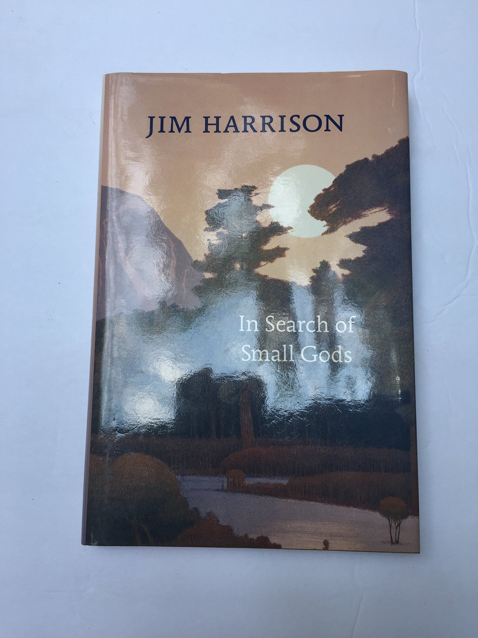 Buy In Search of Small Gods — BookShops.in