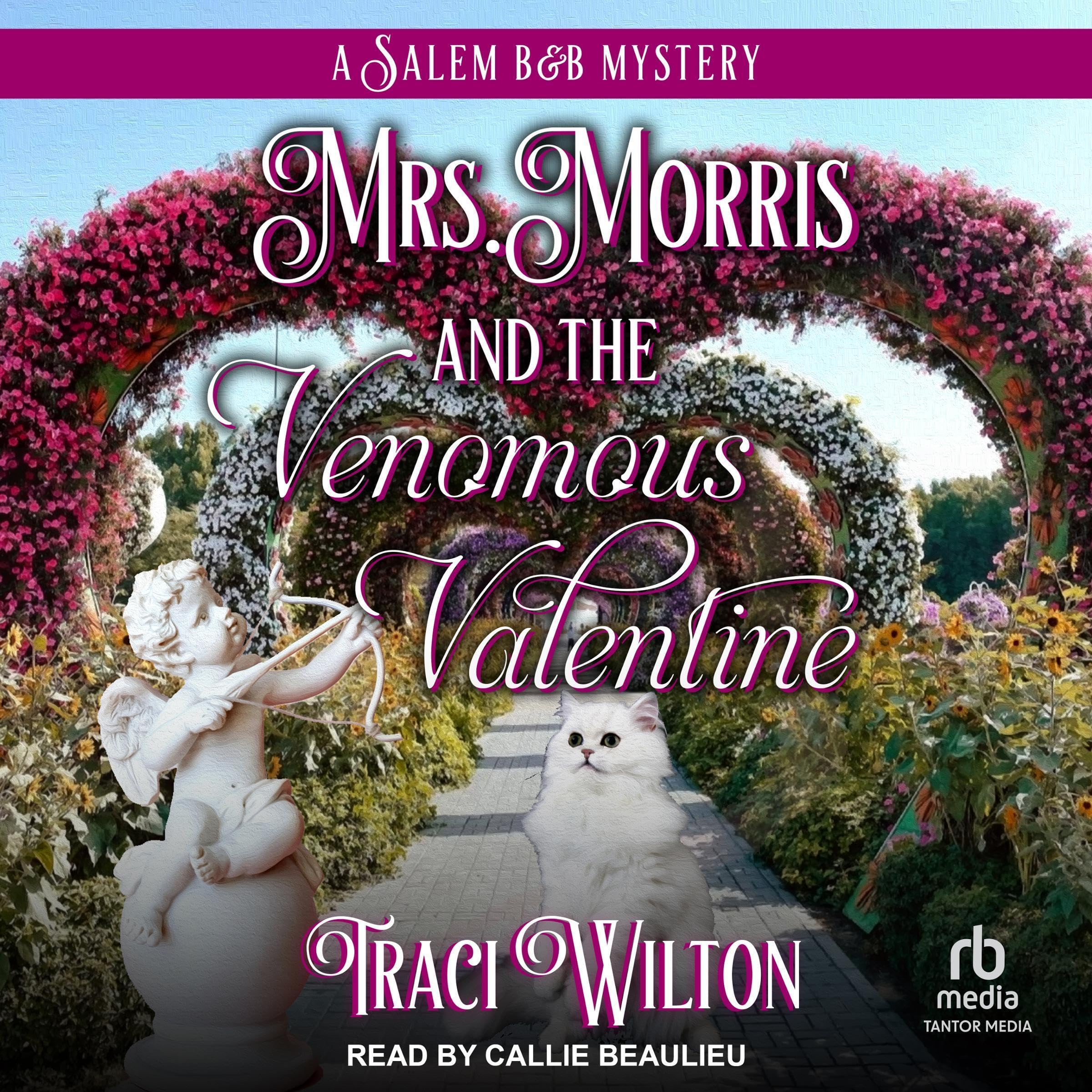 Cover art for Mrs. Morris and the Venomous Valentine
