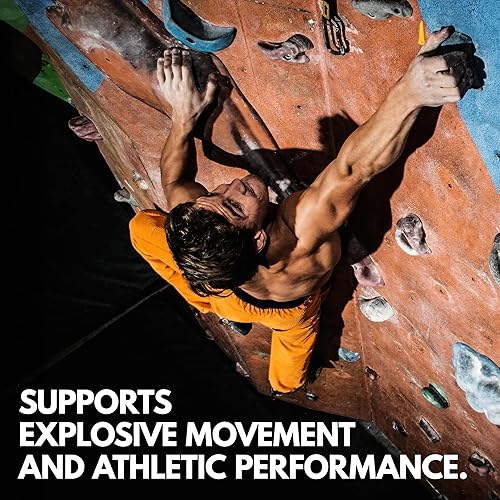 Miniatura 6 de Max Muscle Monohidrato de creatina ultra pura en polvo, 5000 mg (0.18 onzas), pureza probada por terceros, 100% micronizado y sin sabor para una