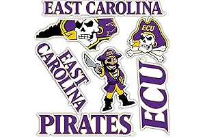 Desert Cactus East Carolina University Pirates ECU Vinyl Laptop Water Bottle Car Scrapbook Decals T2