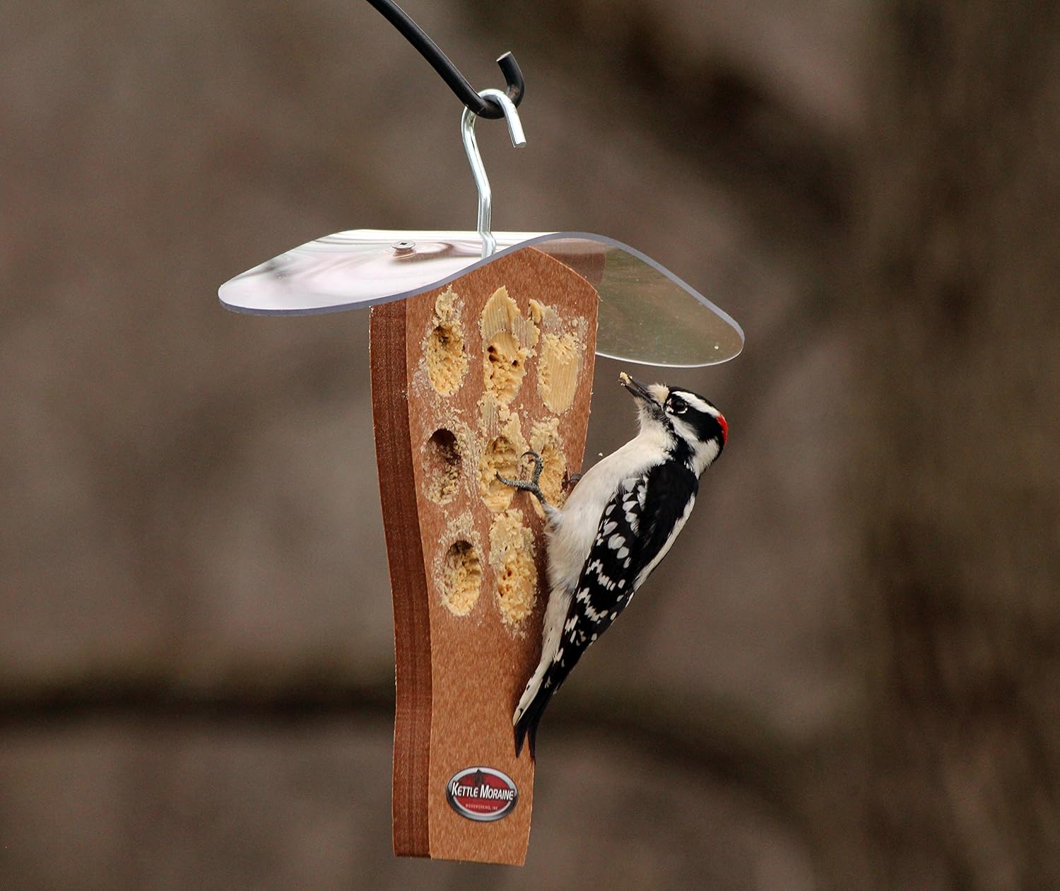Kettle Moraine Peanut Butter Feeder with Clear Roof (Chocolate)