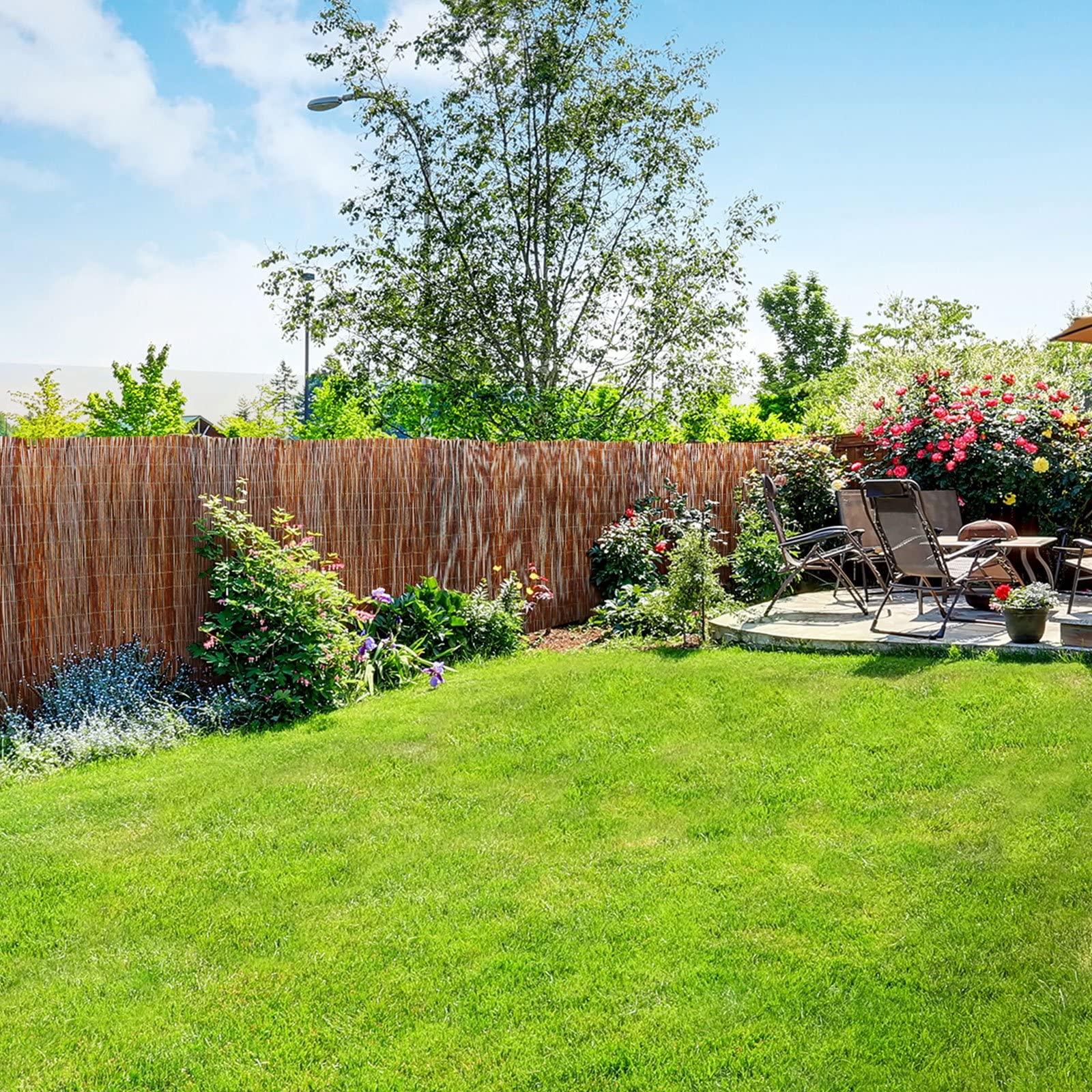 KARAT Weidenmatte in 5 Größen · 200x300 cm · Sichtschutzmatte aus Weide · für Garten, Balkon und Terrasse · Balkonsichtschutz · natürlicher Sichtschutzzaun (Braun)