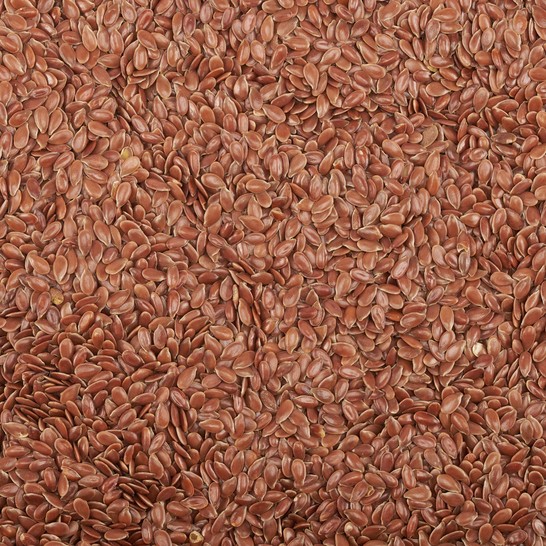 Braun Bio Leinsamen Ganz - 1.5 Kg. Höchster Qualität Leinsamen Bio Nicht Geschrotet Ideal zum Backen Jogurt und Müsli 100% Natürlich und Rein. Reich an Omega 3 und Vegan. Organic Flaxseed.