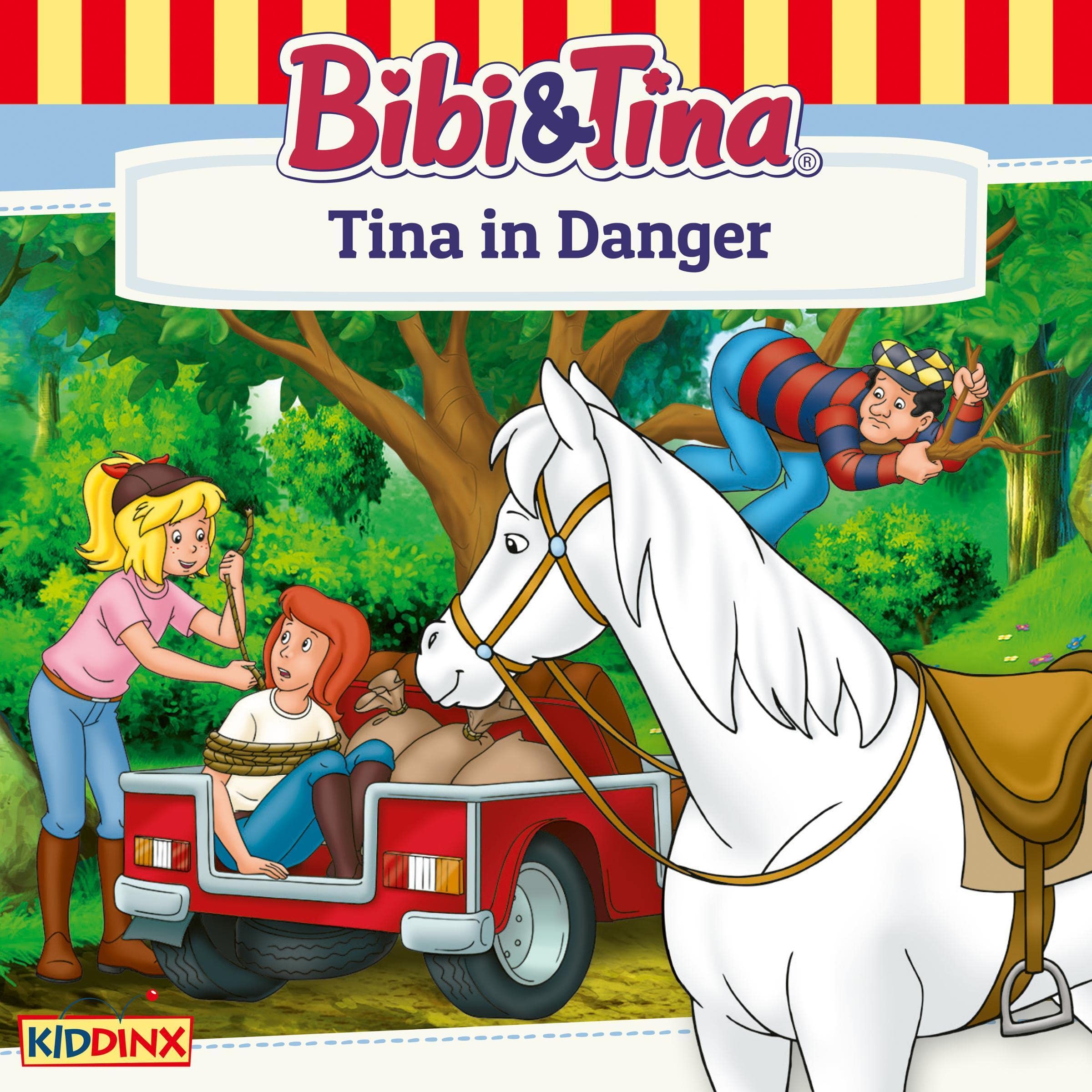 Cover art for Tina in Danger