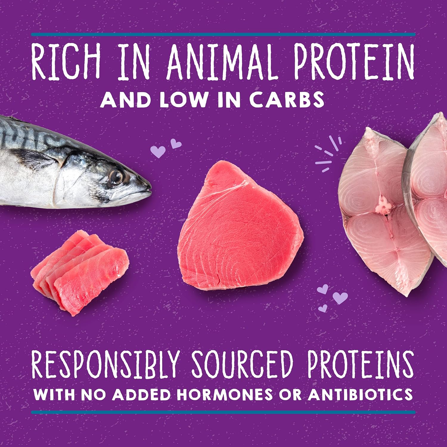 Stella & Chewy's Carnivore Cravings Savory Shreds - Wet Cat Food - High-Moisture Formula with Wild-Caught Tuna & Mackerel - Perfect for Picky Eaters - 2.8 oz, 24 Count