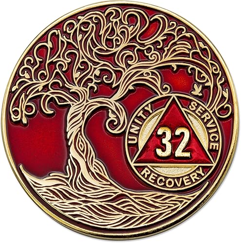 Miniatura 7 de Medallón AA de 21 años, chip de recuperación AA chapado en oro, color rojo