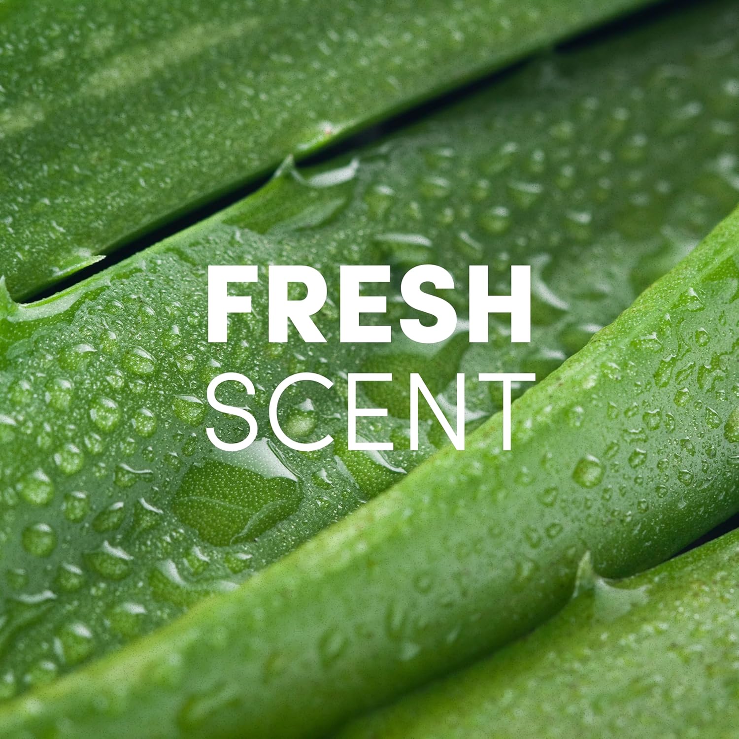 Clean Revolution Liquid Gel Hand Sanitizer, 128 Fl. Oz Refill Supply Container| Eliminates 99.9% of Germs | Gentle & Aloe Enriched | 70% USP Medical Grade Ethanol, Medical Facility Compliant - Image 3