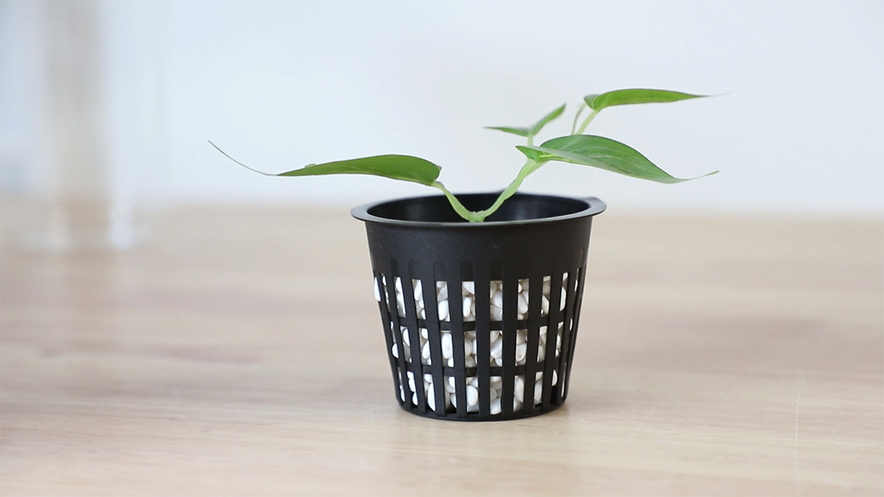 50 Macetas De Red Para Hidroponía, Pequeñas Tazas Hidropónicas Para Jardín, Copas De Red De Malla Ranuradas, 1.1 X 1.5 Pulgadas (negro