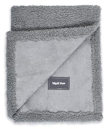 West Paw Big Sky Dog Blanket and Throw, Faux Suede/Silky Soft Fleece Pet Throw Blanket for Couch, Furniture Chair and Bed, Boulder, Small