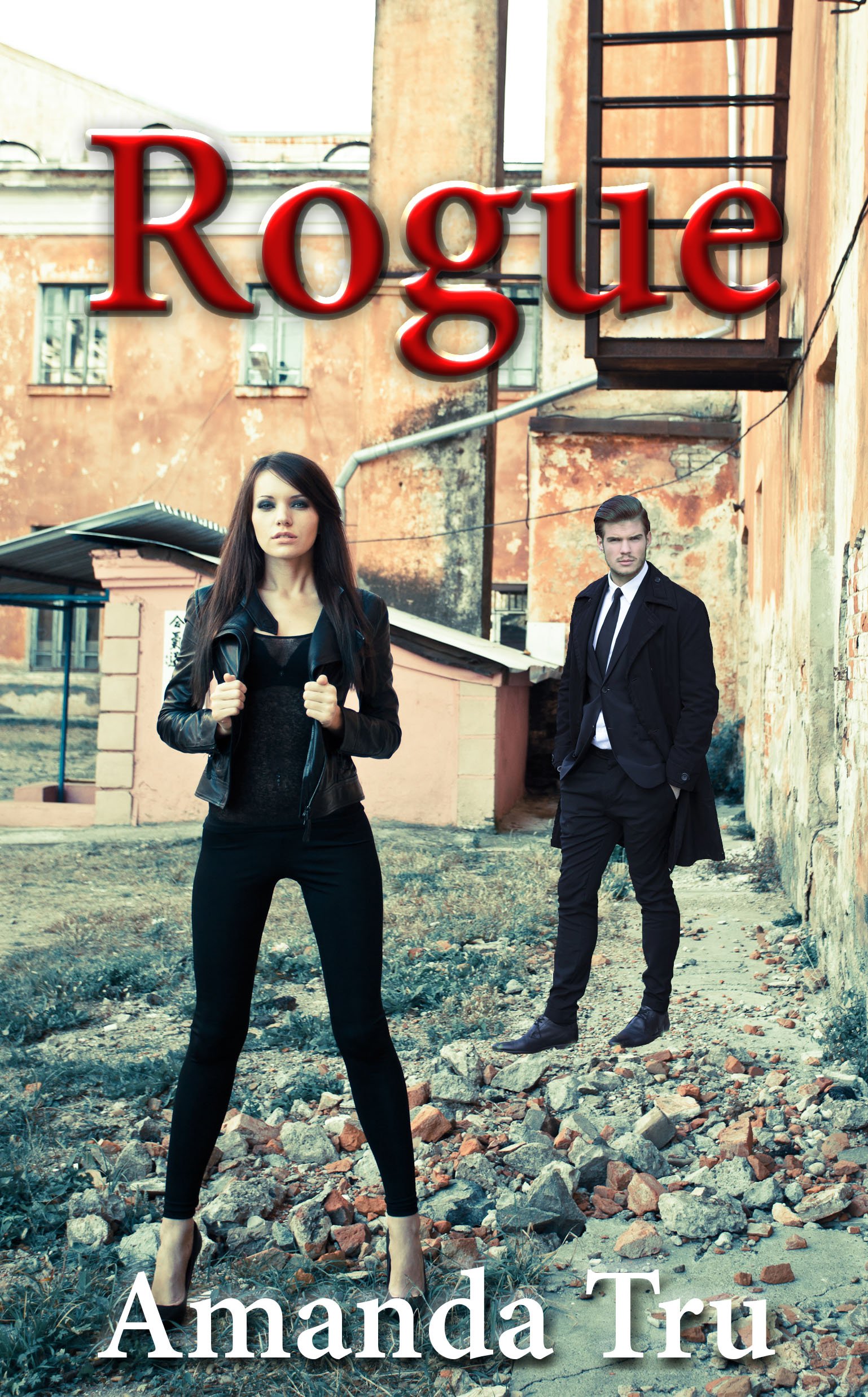 Rogue: Book Four (Tru Exceptions - Christian Romantic Suspense)