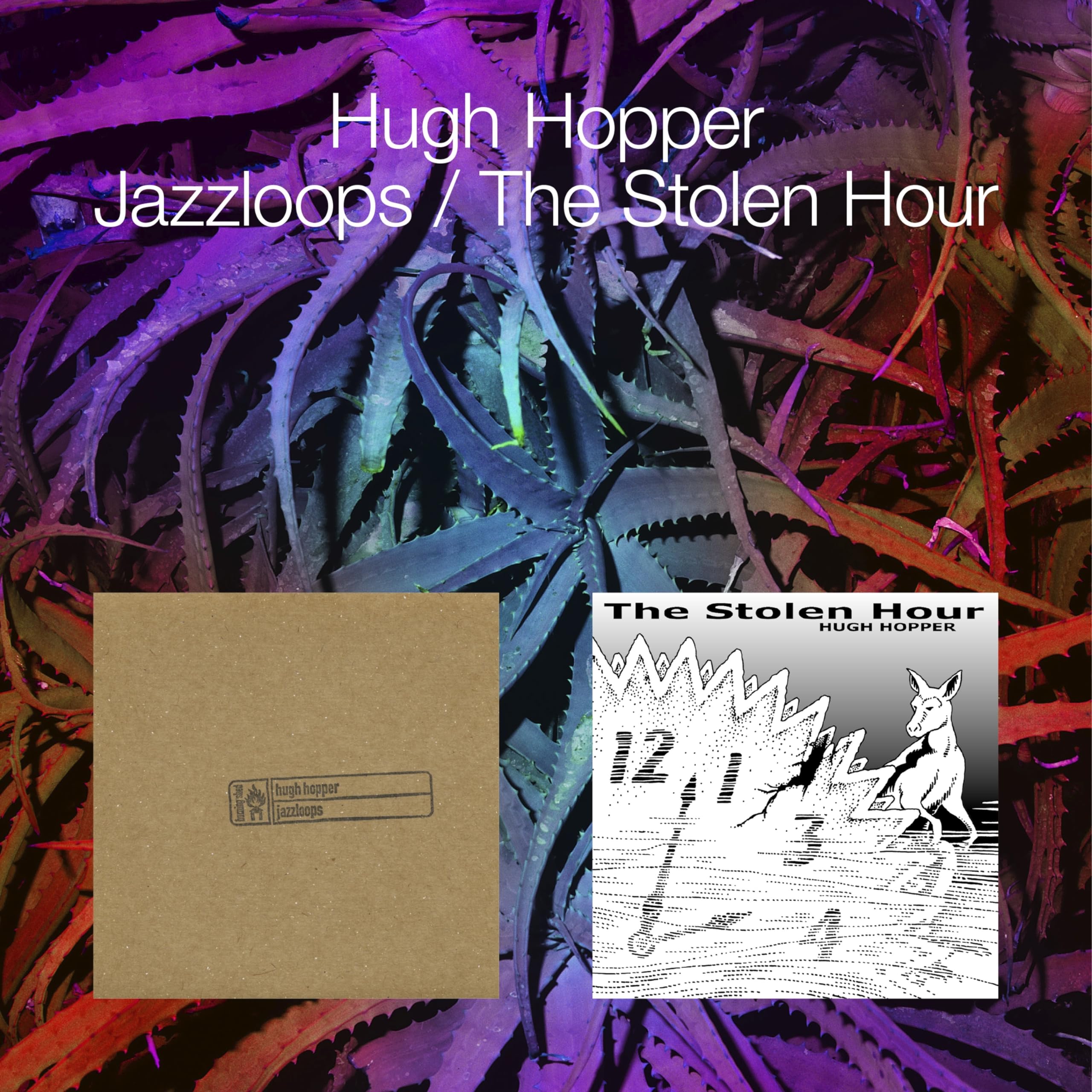 Hugh Hopper: Jazzloops / The Stolen Hour, 2CD