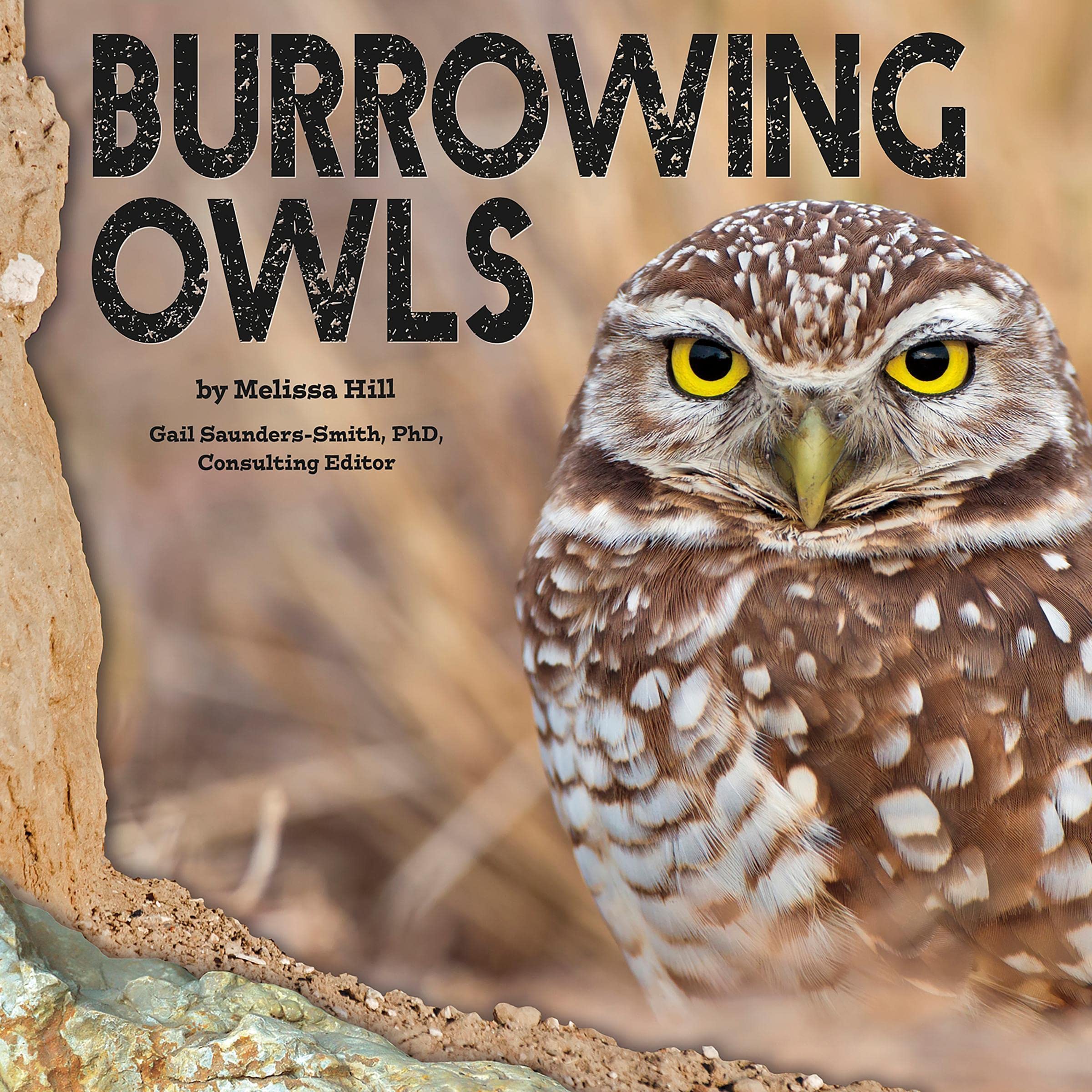 Burrowing Owls