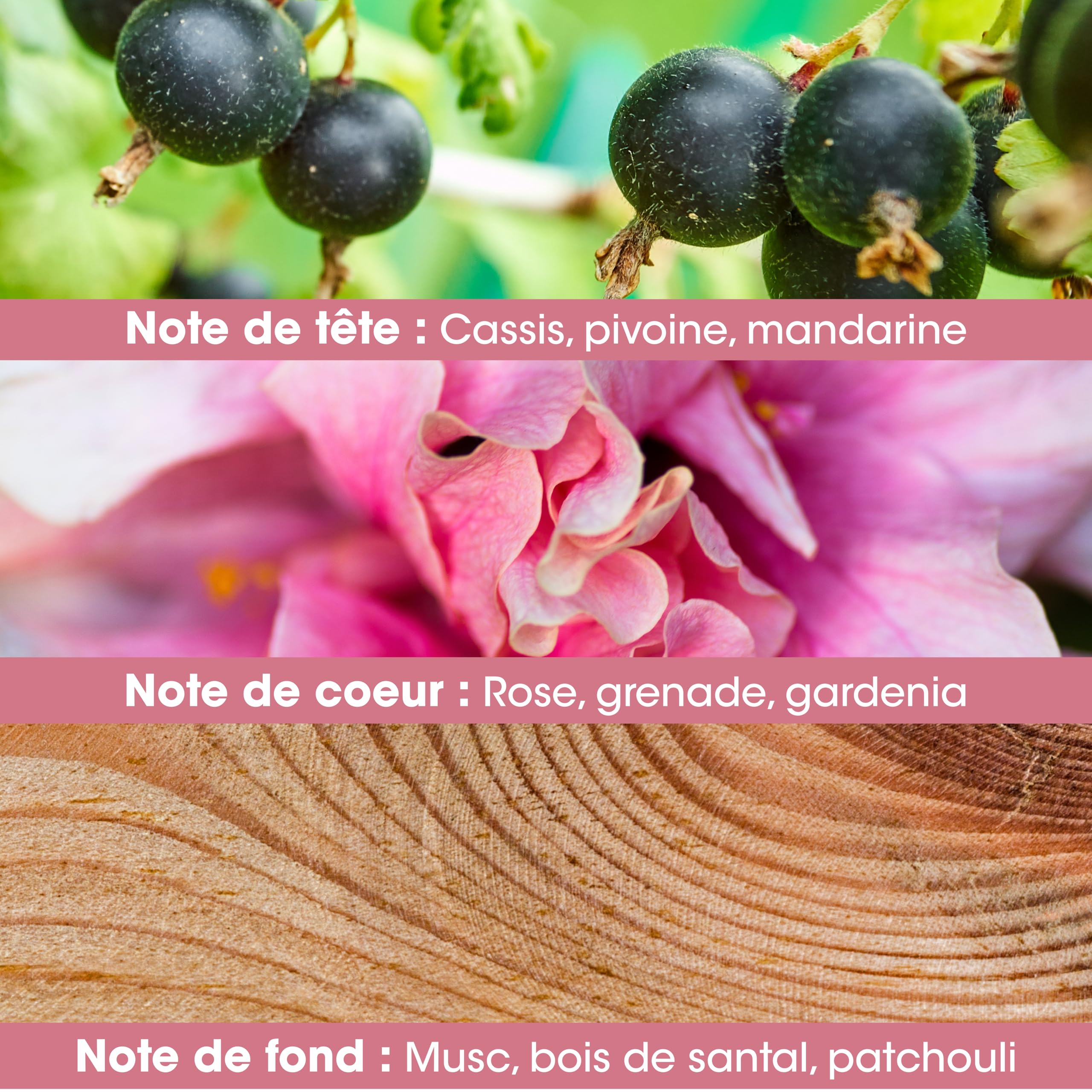 Jeanne en Provence - Grenada musująca - woda perfumowana - 60 ml - Wyprodukowano we Francji
