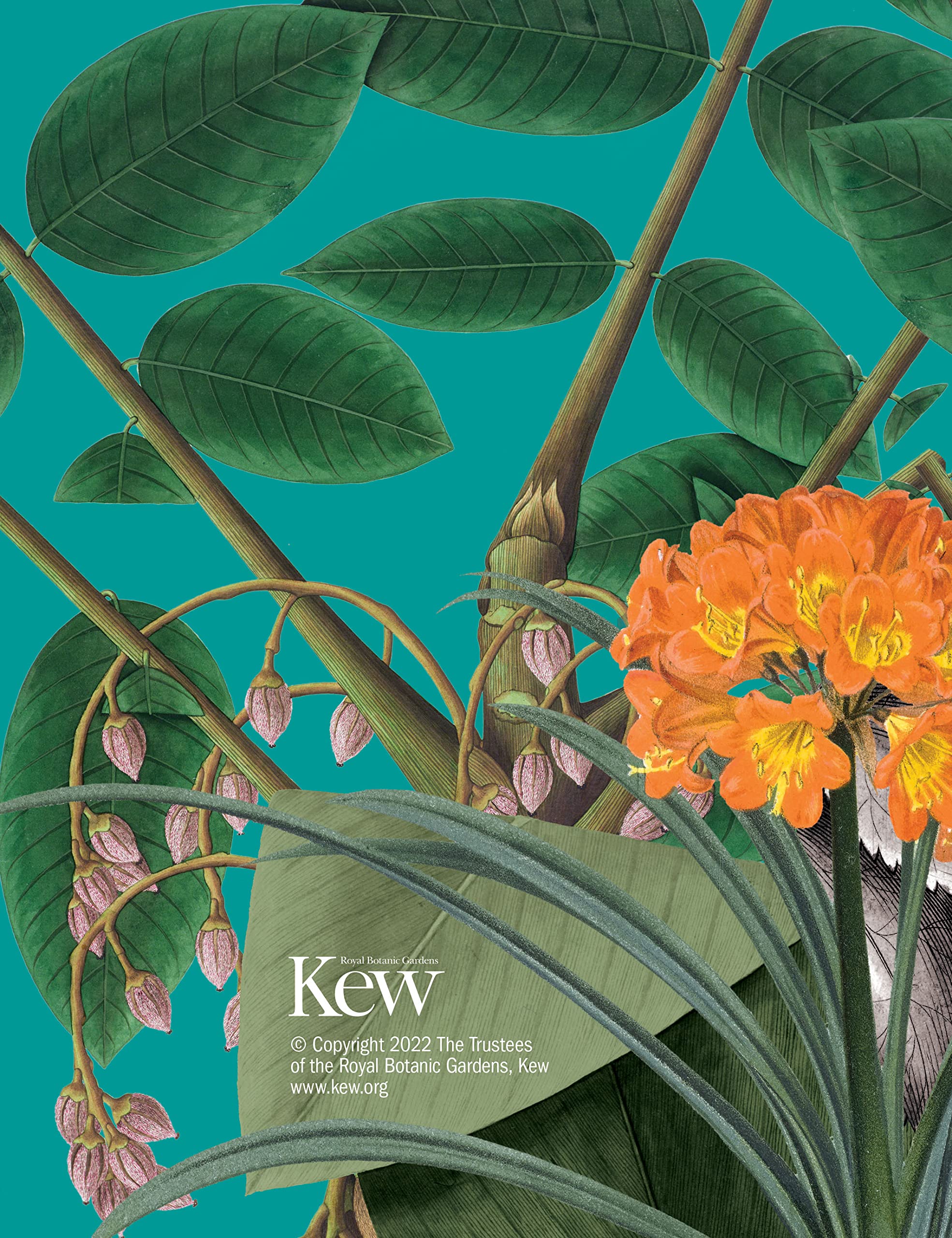 Royal Botanic Gardens Kew Deluxe A5 Diary 2023 - Image 2