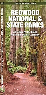 Redwood National & State Parks (Nature Observation North America)