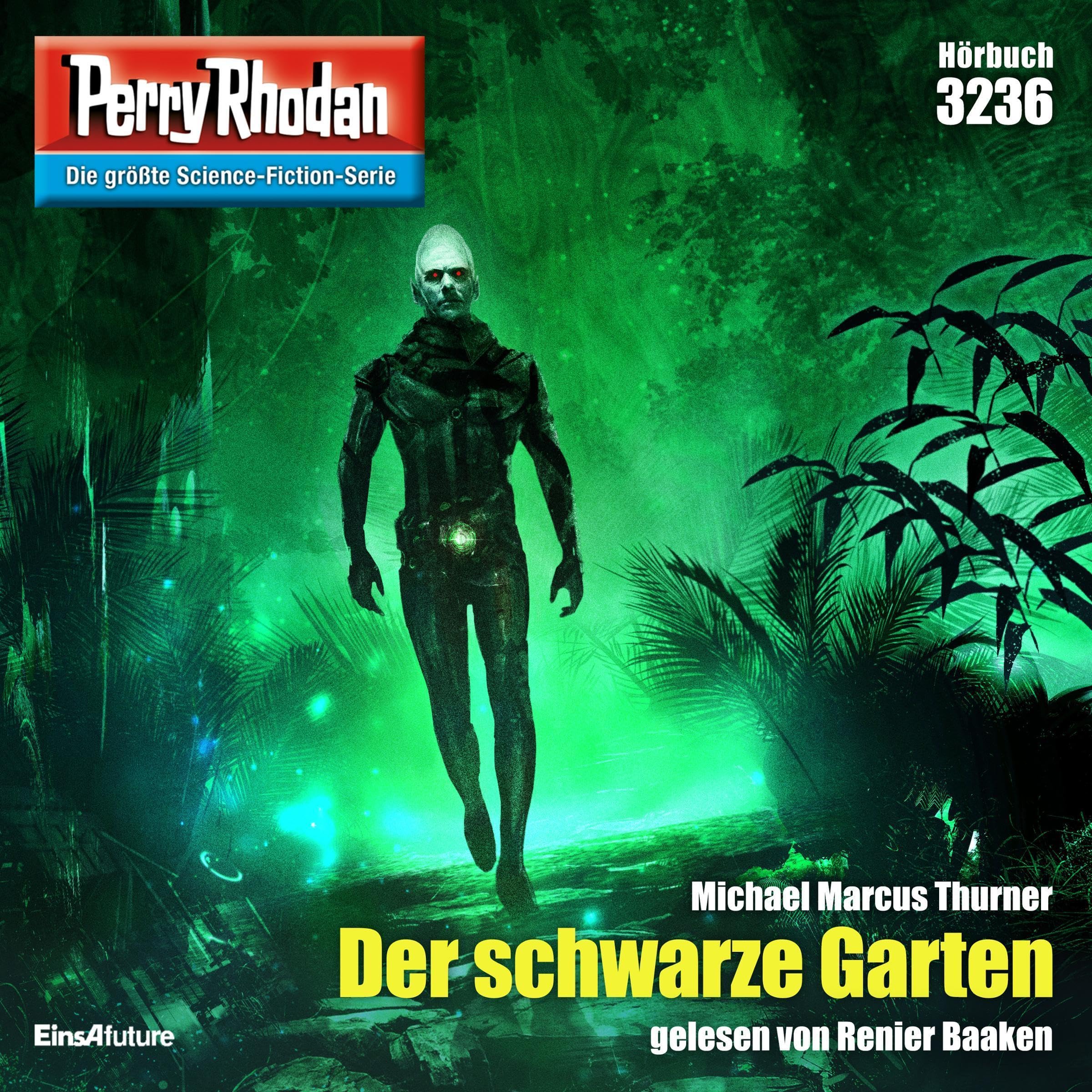 Cover art for Der schwarze Garten