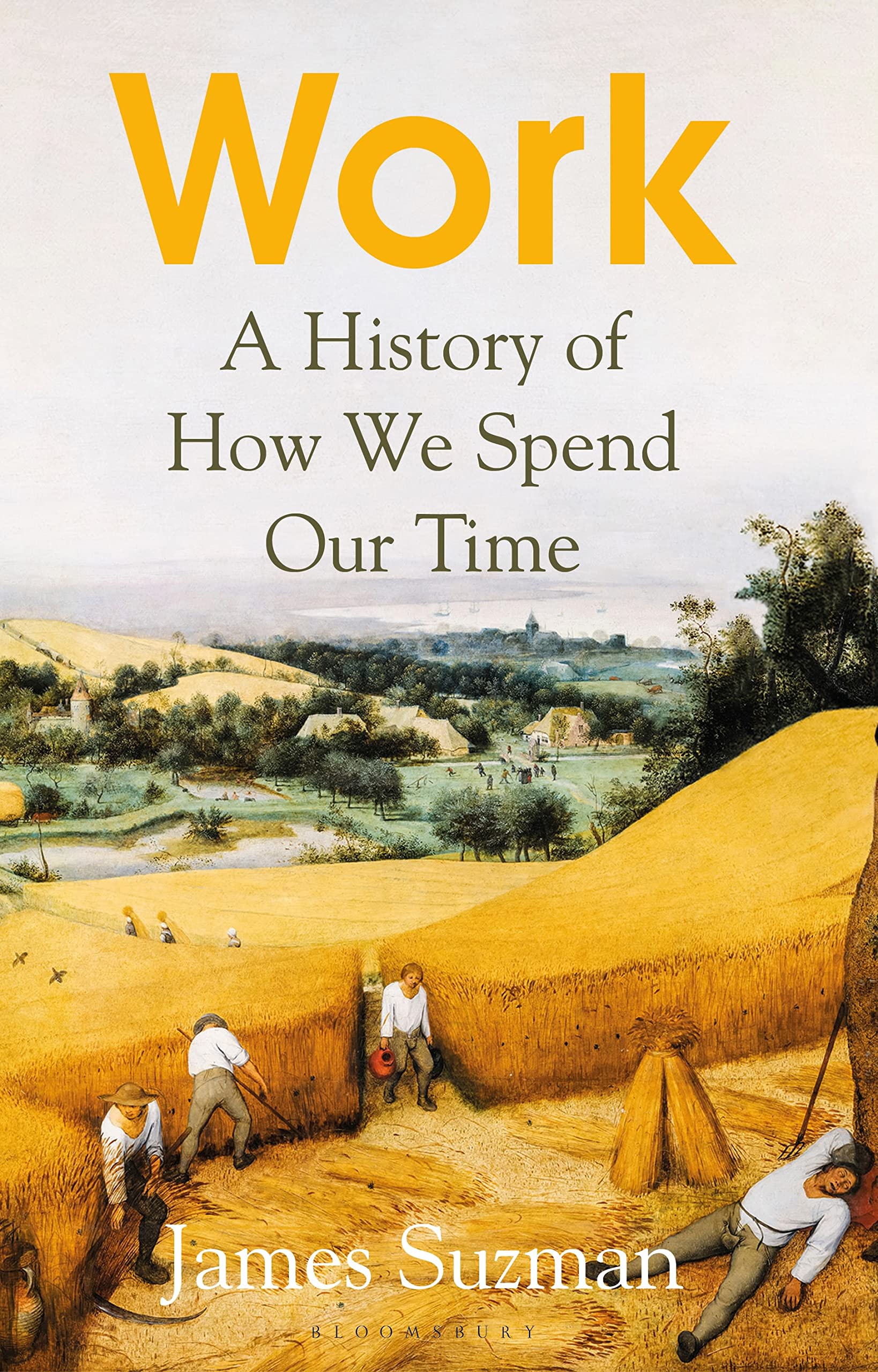 Buy Work: A History of How We Spend Our Time — BookShops.in