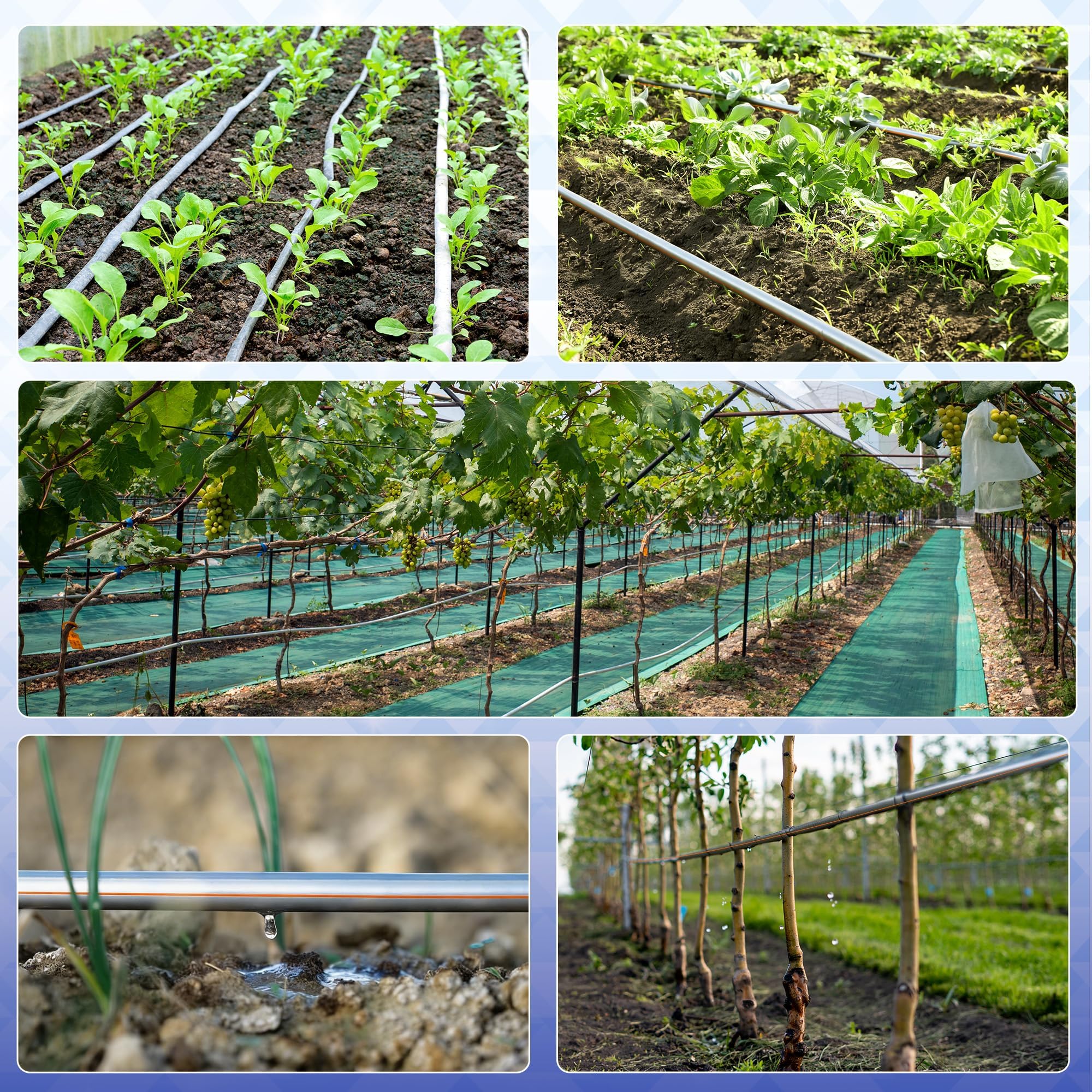 Nastro antigoccia da 1640 m, rotolo di spaziatura da 15,2 cm, nastro per irrigazione a goccia da 8 mil, tubo per irrigazione a foro 0,5 GPH/foro tubo per irrigazione argento anti-uccelli design