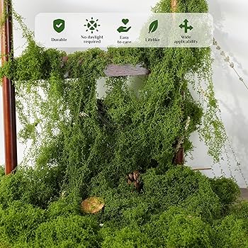 9118Lk6eqCL._AC_UF350,