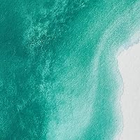 Vista 296 de Winsor & Newton - Pintura para acuarela profesional