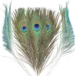 THARAHT 24pcs Peacock Feather Natural in Bulk 10-12 inch 25-30cm For Vase Craft Vase Wedding Home Party Christmas Day Decoration Peacock Feathers