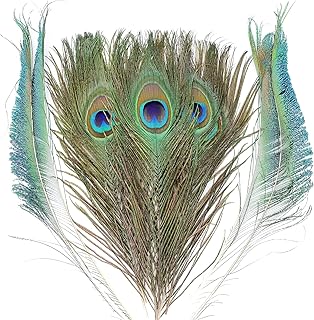THARAHT 24pcs Real Natural Peacock Feathers Peacock Swords Set in Bulk 10-12 inch 25-30cm for Vase Craft Vase Wedding Home Party Christmas Day Decoration Peacock Feathers