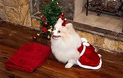 Vestido de Natal Modernpet para Cachorro Vermelha - Tam. P