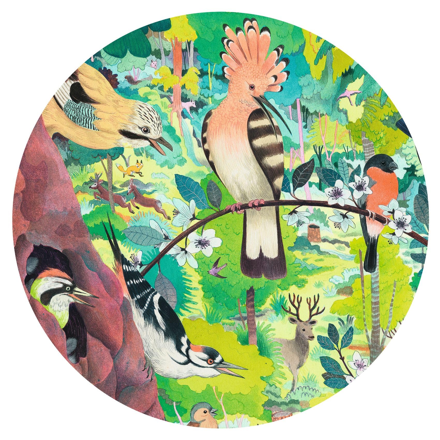 Amazon.com: DJECO Gallery Jigsaw Puzzle, Owls and Birds, Multi