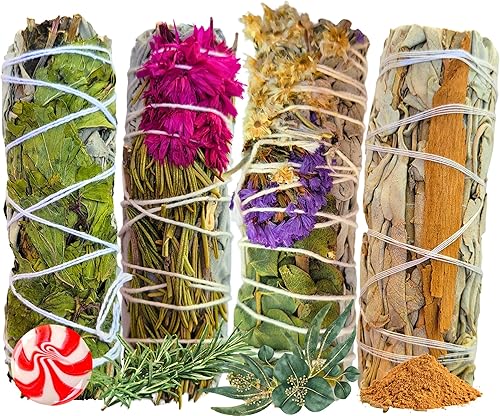 Paquete variado de salvia de temporada, edición limitada, juego de muestras de manchas de salvia blanca, canela, menta, eucalipto floral, juego de