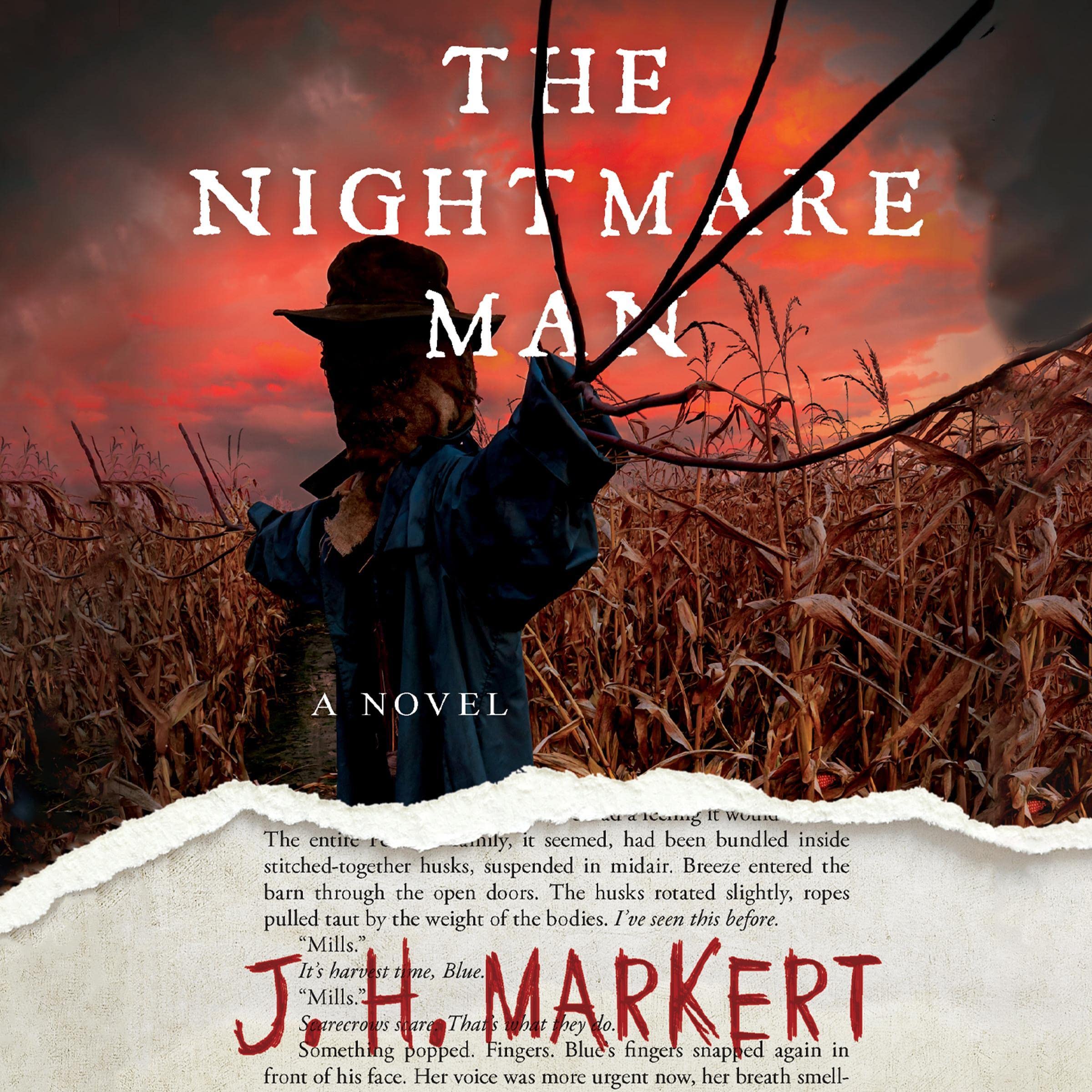 Cover art for The Nightmare Man