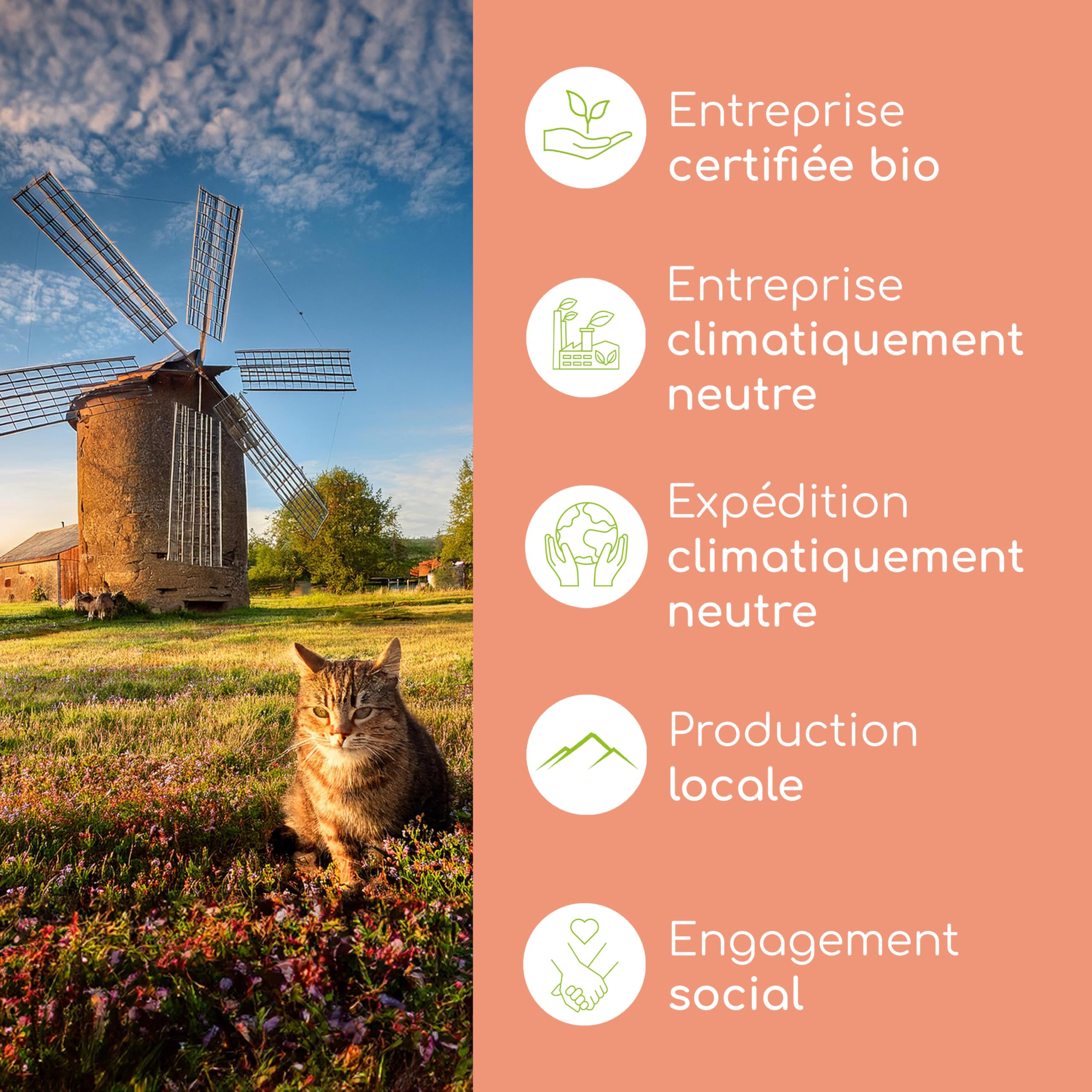 Huile de Saumon pour Chats avec Oméga 3 & 6 | 100ml Huile de Saumon Norvégien Naturelle de l'Atlantique | Complément Hautement Dosé pour Chats