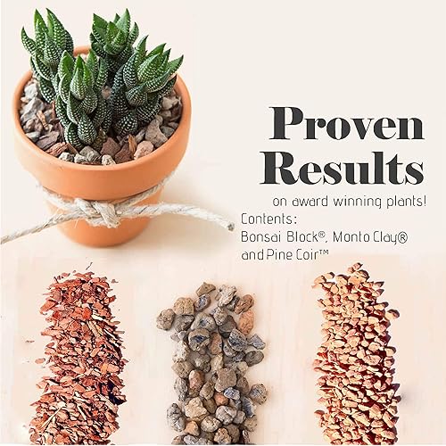 Miniatura 9 de Suelo para suculentas y cactus para bonsái, mezcla arenosa de Jacks #111, drenaje rápido, combate la pudrición de la raíz, pH optimizado (12 galón2