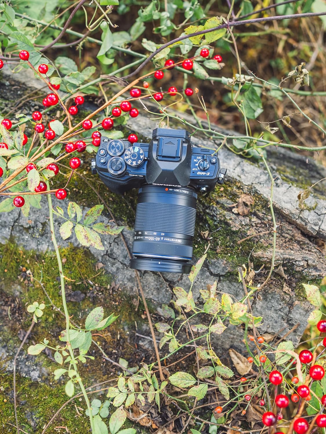 Bundle of OM SYSTEM Olympus E-M10 Mark IV Black Micro...