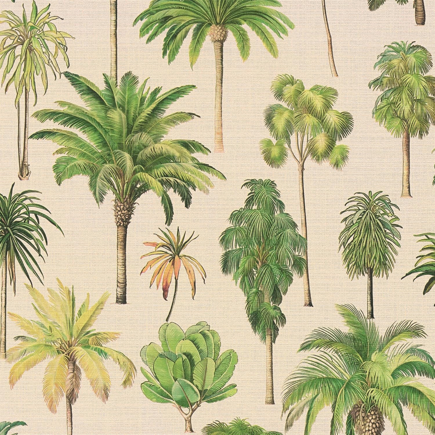 Papel pintado palmeras crema verde Profhome 791711-GU tejido no tejido 5,33 m2