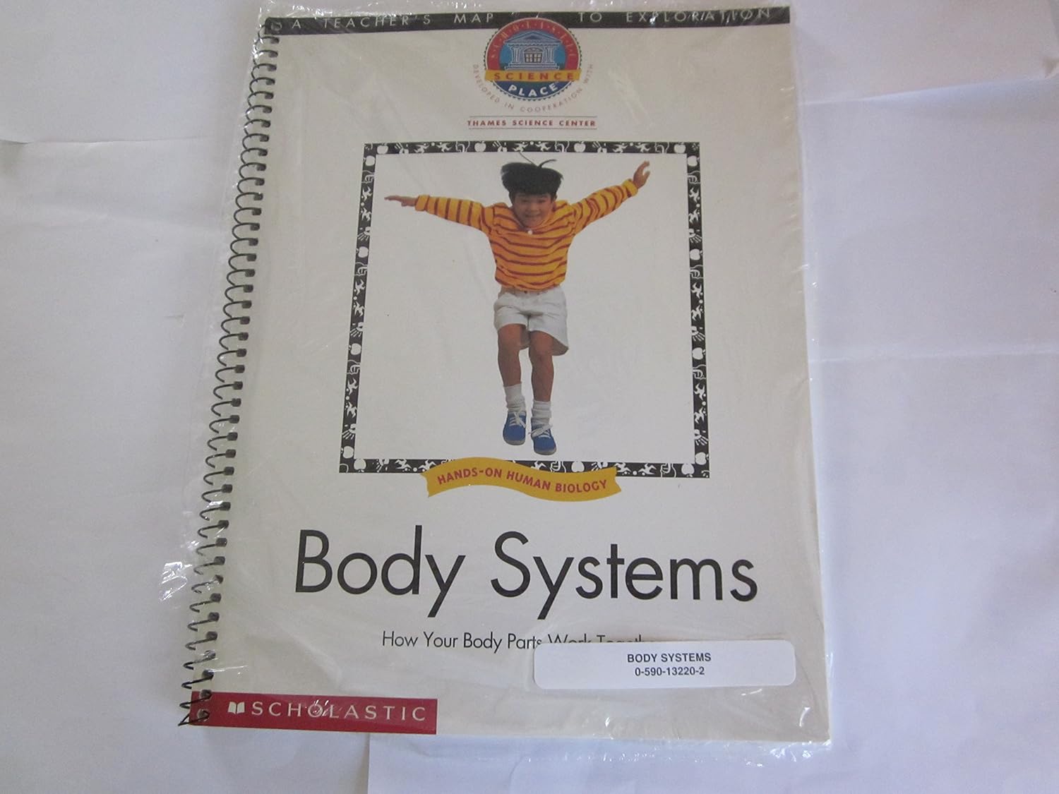 Using Trash: How You Can Rethink, Recycle, Reuse, Reduce, Recycle and ...