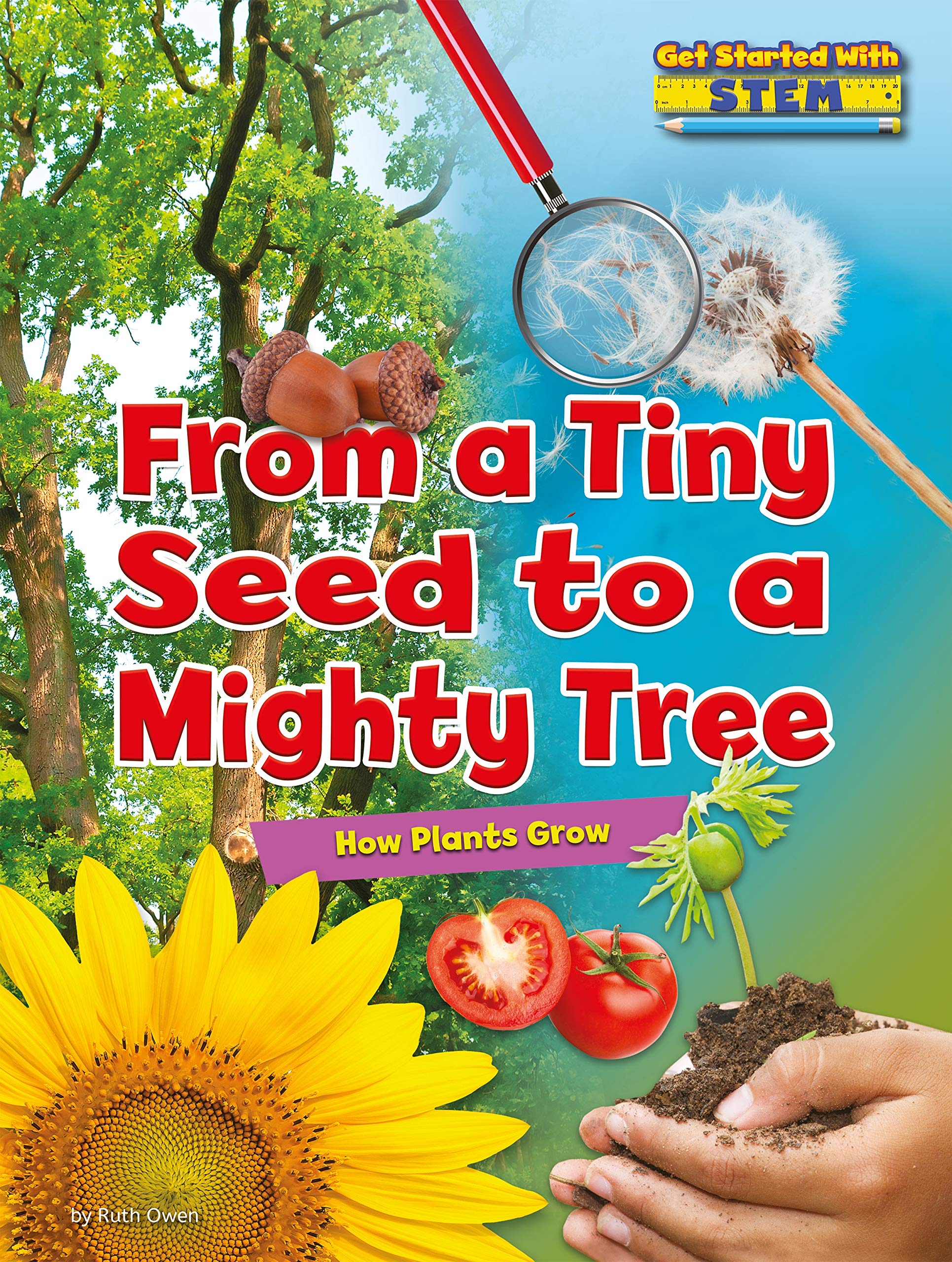 Ruby Tuesday Books From a Tiny Seed to a Mighty Tree: How Plants Grow